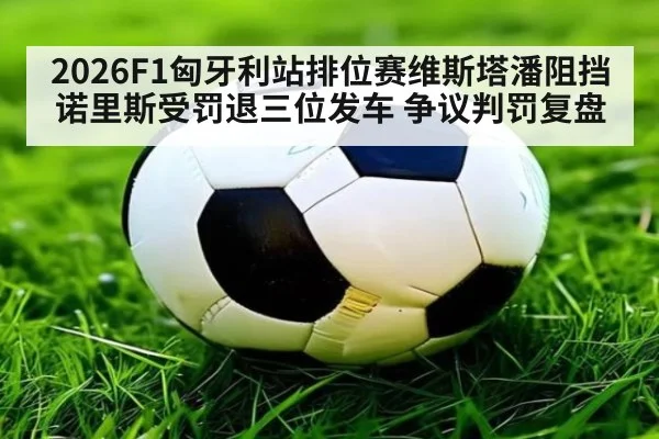 2026F1匈牙利站排位赛维斯塔潘阻挡诺里斯受罚退三位发车 争议判罚复盘