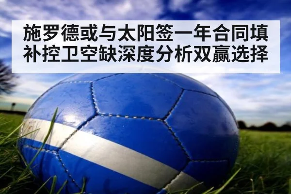 施罗德或与太阳签一年合同填补控卫空缺深度分析双赢选择