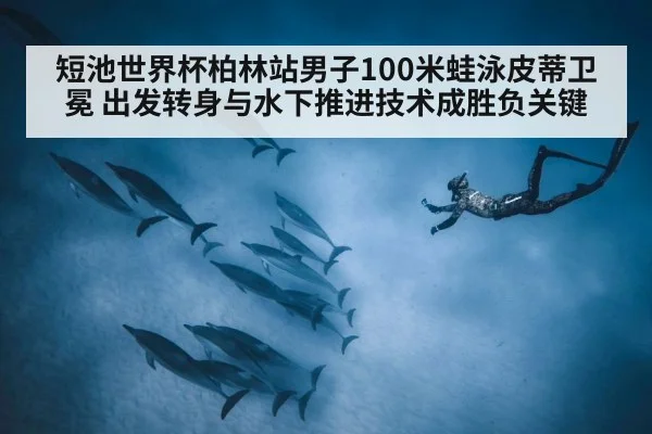 短池世界杯柏林站男子100米蛙泳皮蒂卫冕 出发转身与水下推进技术成胜负关键
